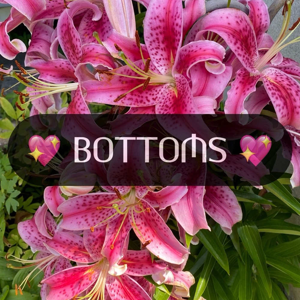 💖 Bottoms Category 💖